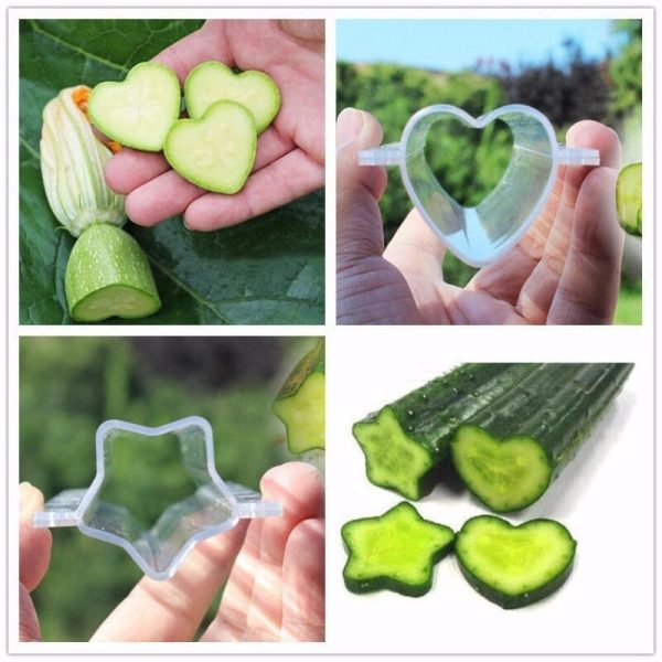 5-Piece Fruit And Vegetable Shape Forming Mould