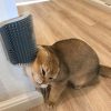 Cat Self Groomer Brush Corner Grooming Massage Comb