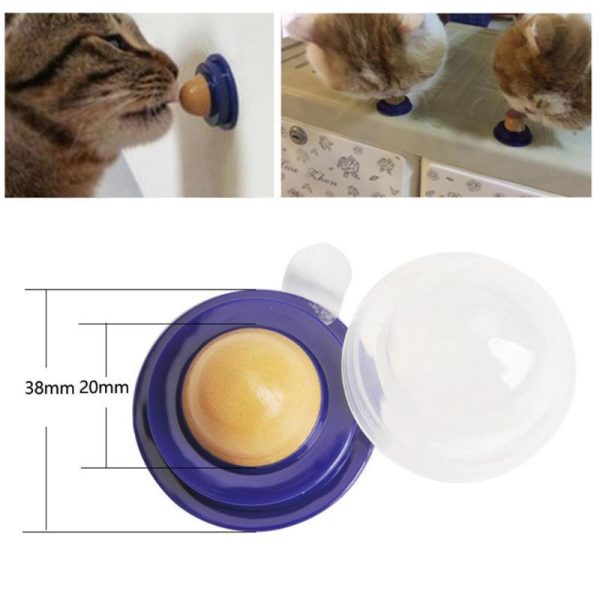 Catnip Sucker Ball For Cats