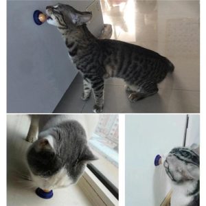 Catnip Sucker Ball For Cats