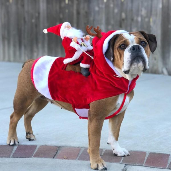 Running Santa Pet Costume