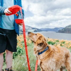 Dog Leash With Built-In Water Bottle & Waste Bag Dispenser