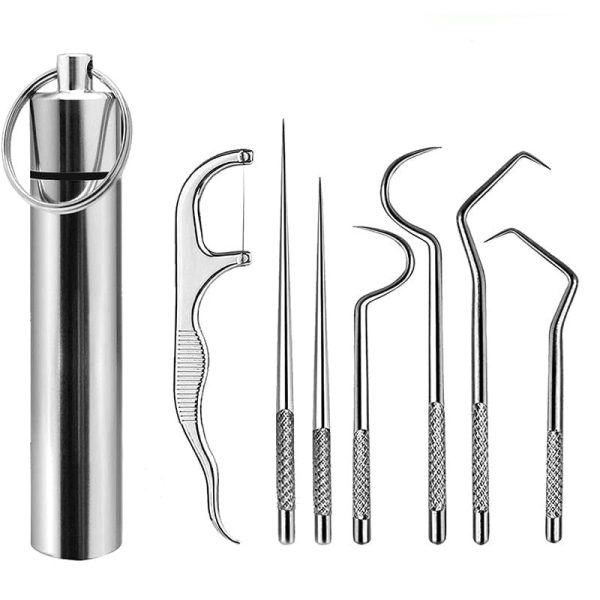 Portable Reusable Stainless-Steel Flossing And Toothpick Set