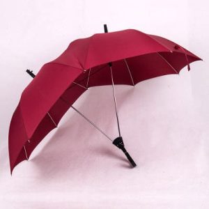 Dual Person Umbrella