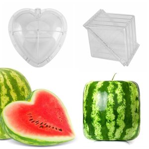 Watermelon Shape Forming Mould