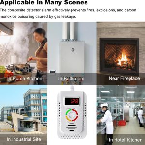 Natural Gas and Carbon Monoxide Detector, Plug-in Gas Leak Detector, CO Sensor Detector with LED Digital Display