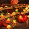 Pumpkin String Lights, LED Halloween Lights Battery Powered with Remote & Timer, Halloween Lights 3D Jack-o-Lantern