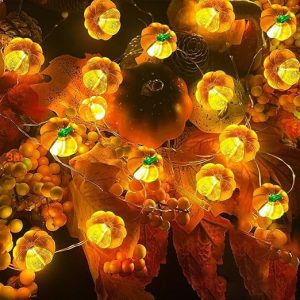 Pumpkin String Lights, LED Halloween Lights Battery Powered with Remote & Timer, Halloween Lights 3D Jack-o-Lantern